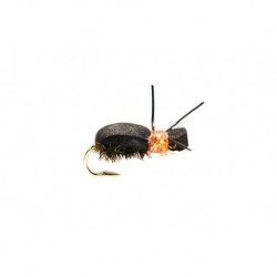 Orange Kicking Beetle