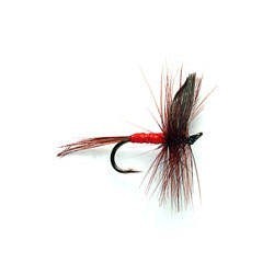 Orange Quill