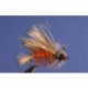 Orange Seducer