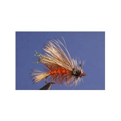 Orange Seducer