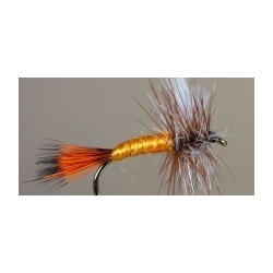 Orange Snipe