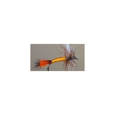 Orange Snipe