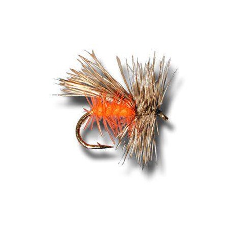 Oregon Caddis