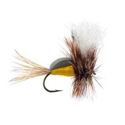 Oswalds Fumpy Yellow