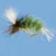 Overly Spotlight Caddis