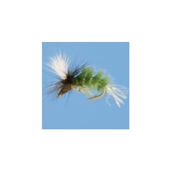 Overly Spotlight Caddis