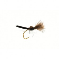 Palamino Black CDC