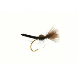 Palomino Black CDC
