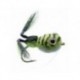 Messinger's Frog
