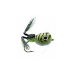 Messinger's Frog