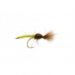 Palomino Olive CDC