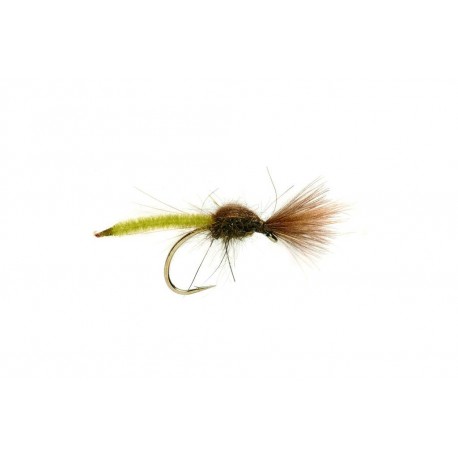 Palomino Olive CDC