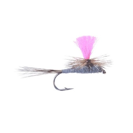 Para Humpy Royal Yellow
