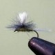 Parachute Black Gnat Red Tail