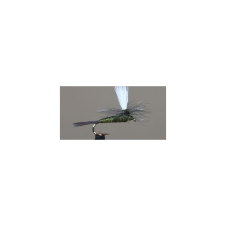 Parachute Black Gnat