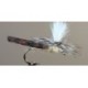 Parachute Bwo