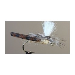 Parachute Bwo