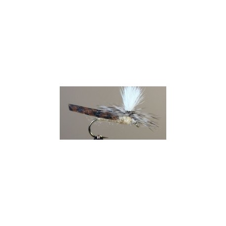 Parachute Bwo