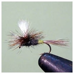 Parachute Cricket