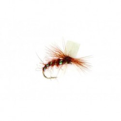 Parachute Dark Hendrickson