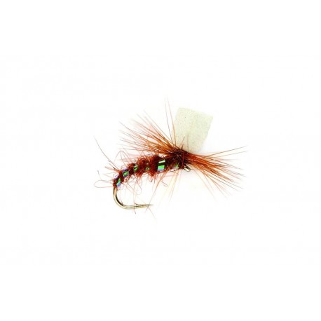 Parachute Dark Hendrickson