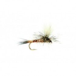 Parachute Fiery Brown