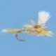 Parachute Gray Fox
