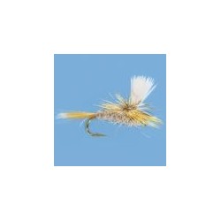 Parachute Gray Fox
