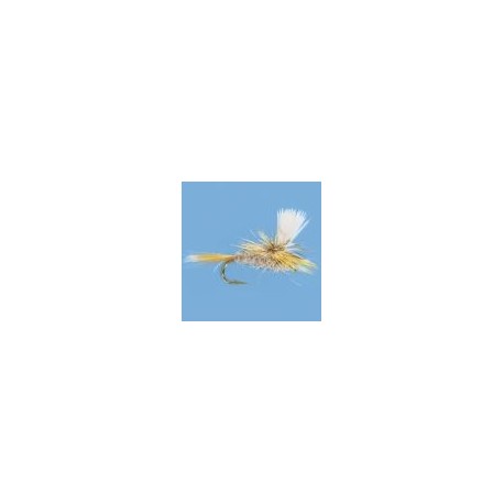 Parachute Gray Fox