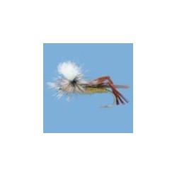 Parachute Hare's Ear Olive