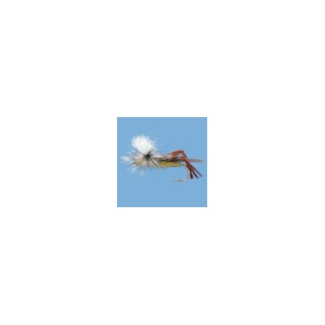 Parachute Hare's Ear Olive