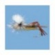 Parachute Hare's Ear