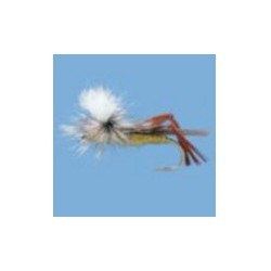 Parachute Hare's Ear