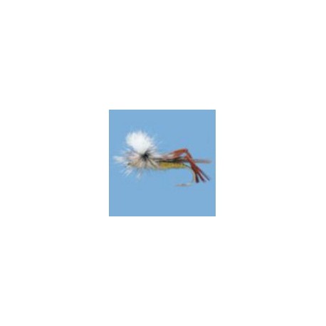 Parachute Hare's Ear