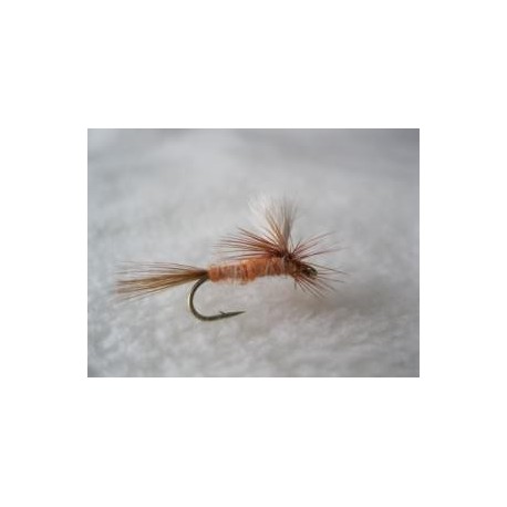 Parachute Iron Blue Dun