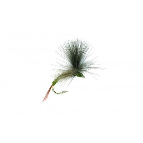 Parachute Light Orange