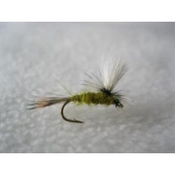 Parachute March Brown