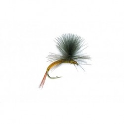 Parachute Olive Hares Ear