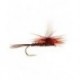 Parachute Olive