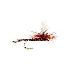 Parachute Olive