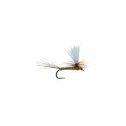 Parachute Pale Evening Dun