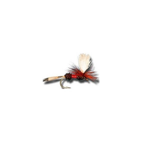 Parachute Quill
