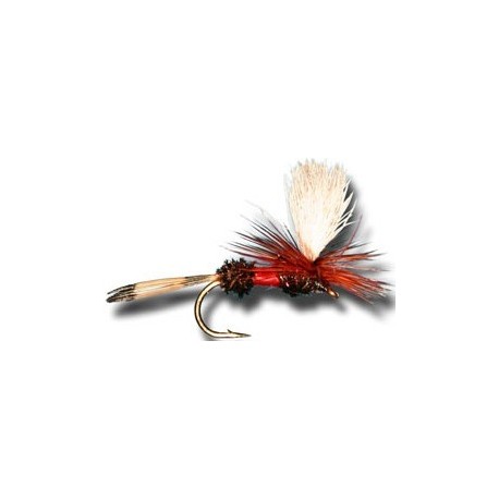 Parachute Red Tag