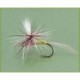 Parachute Royal Cachman