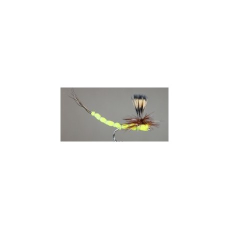 Parachute Tup's Indispensable