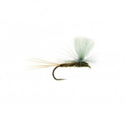 Paradrake Gray