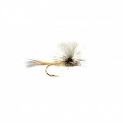 Paradun Light Olive Minnikin's