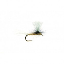 Paradun Light Olive