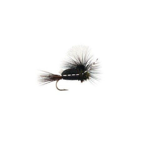 Paradun Pale Watery Minnikin's