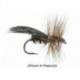 Partridge Caddis